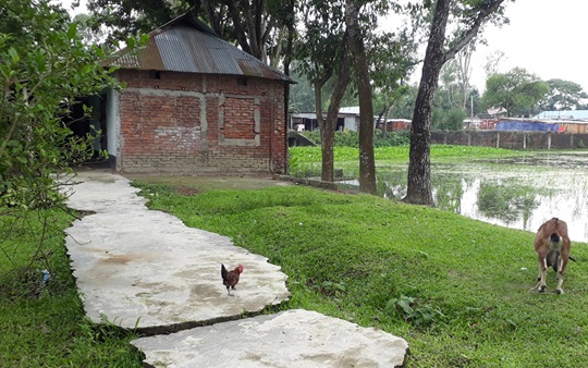 image-here